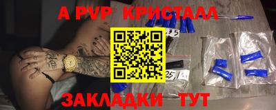СК Новозыбков