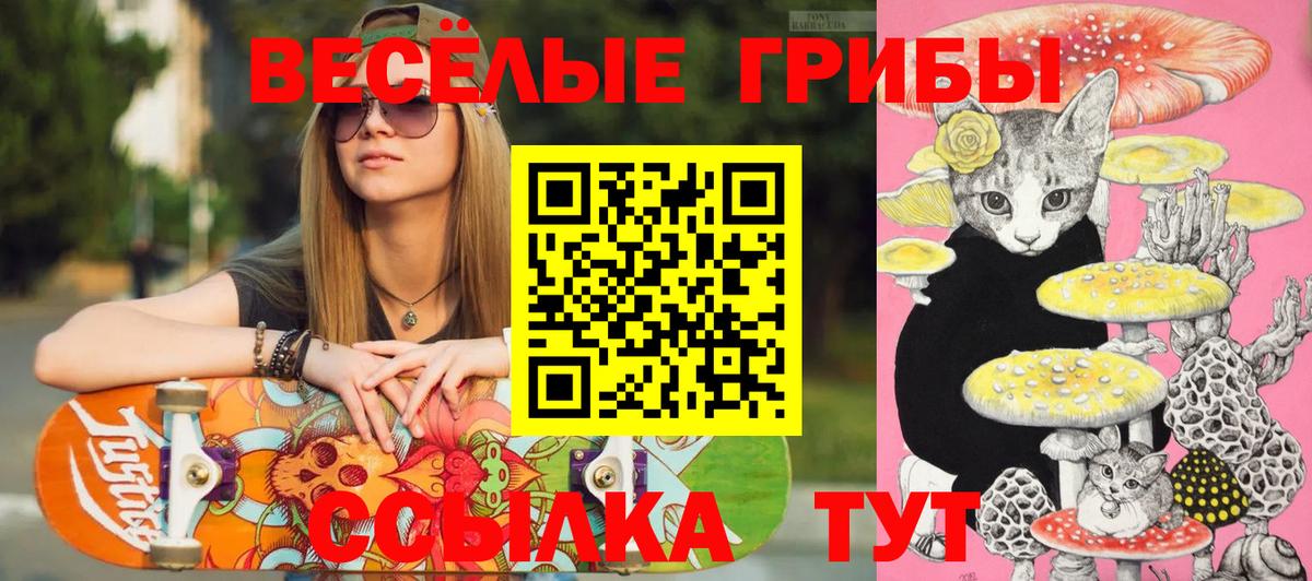 Галлюциногенные грибы мицелий Уссурийск