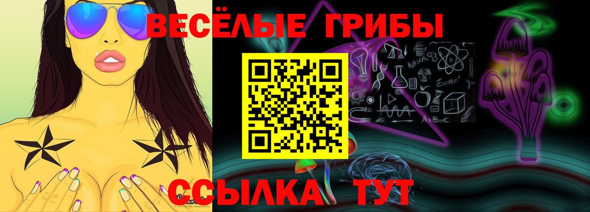 Уссурийск  даркнет сайт  Вход с VPN  Псилоцибиновые грибы Cubensis 